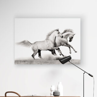 cuadro decorativo de caballo para pared