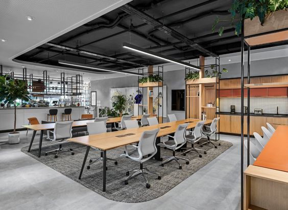 oficinas coworking plantas